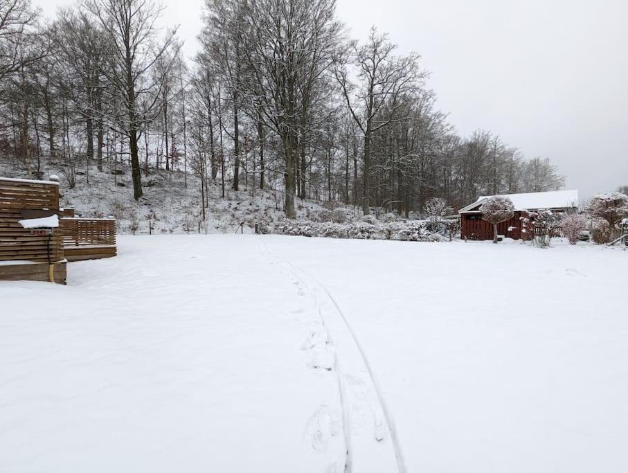 Beautiful And Cosy House Near The Lake Olofström Екстериор снимка