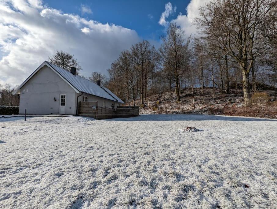 Beautiful And Cosy House Near The Lake Olofström Екстериор снимка