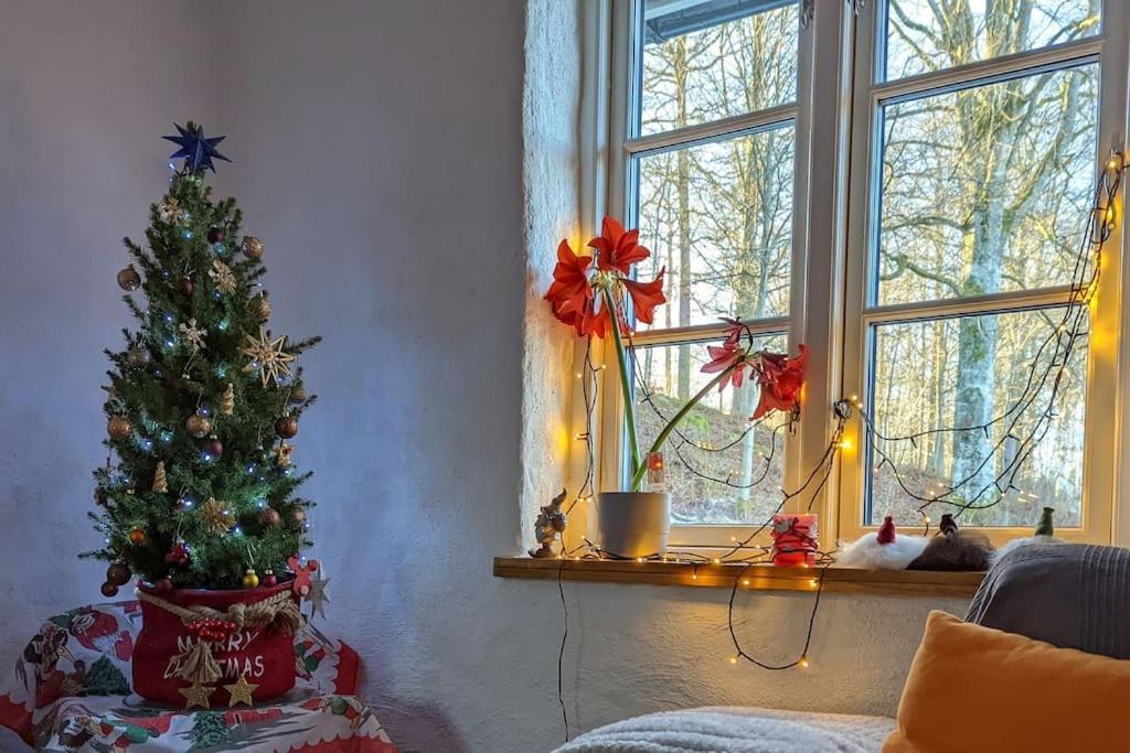 Beautiful And Cosy House Near The Lake Olofström Екстериор снимка